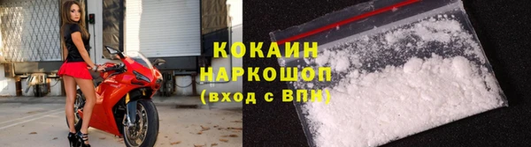 индика Белоозёрский