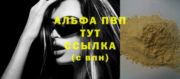 индика Белоозёрский