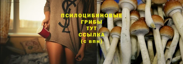 индика Белоозёрский
