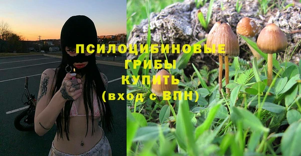 каннабис Белокуриха