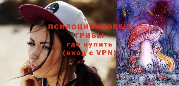 индика Белоозёрский
