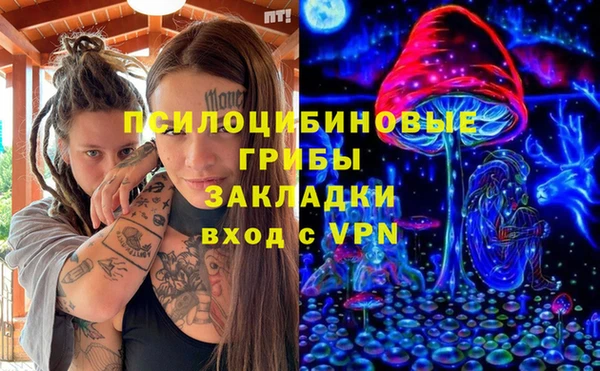 индика Белоозёрский