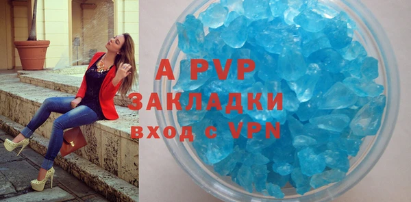 индика Белоозёрский