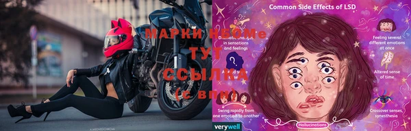индика Белоозёрский